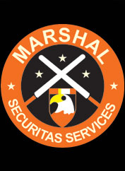 detective services in delhi